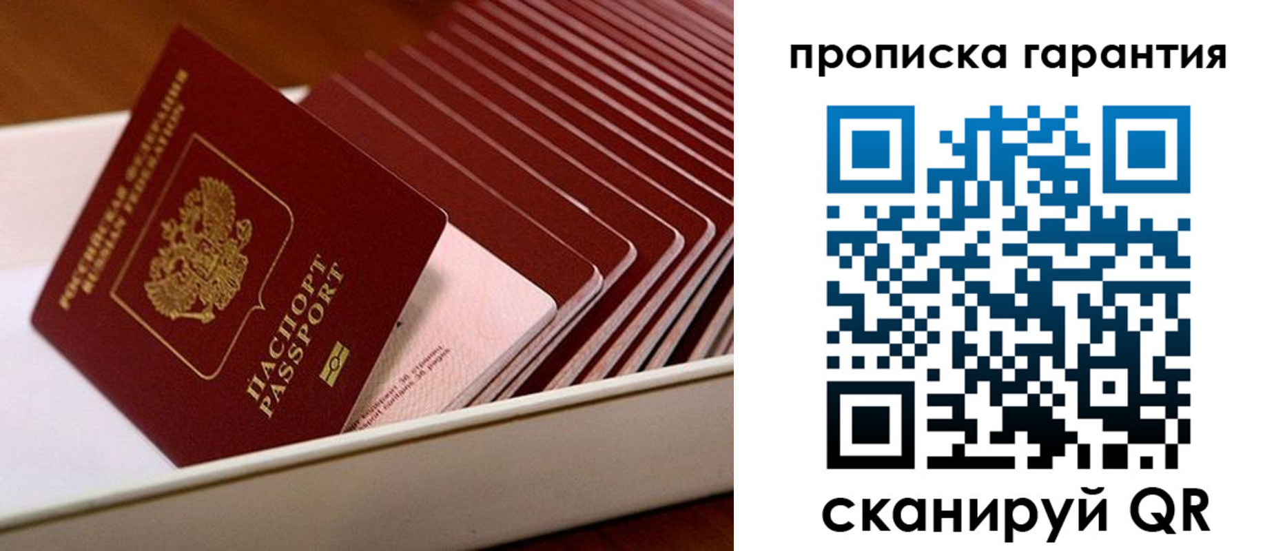 прописка поиск в Туле